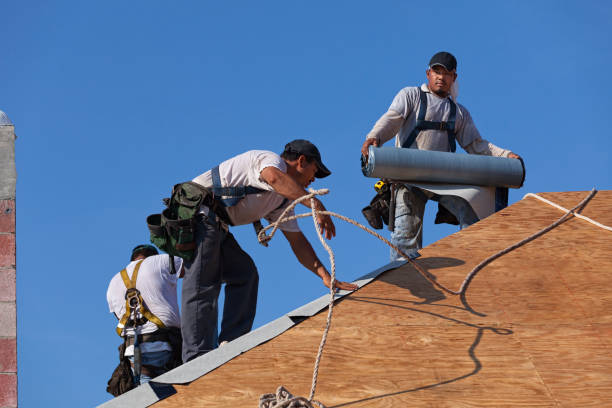 Best Gutter Installation and Roofing  in Breese, IL