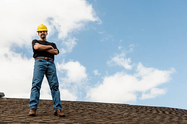 Best Roof Gutter Cleaning  in Breese, IL